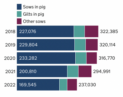 Defra December pig census